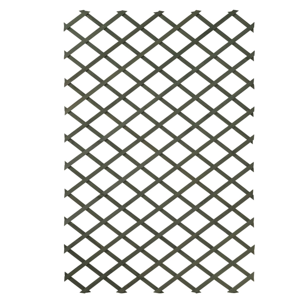 2 pcs Garden Trellises 100x200 cm Wood Green