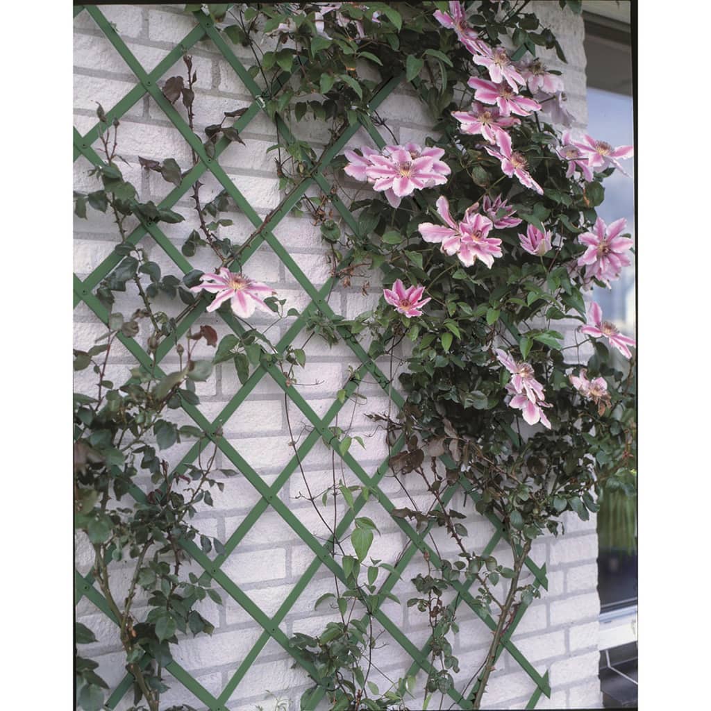 2 pcs Garden Trellises 100x200 cm PVC Green