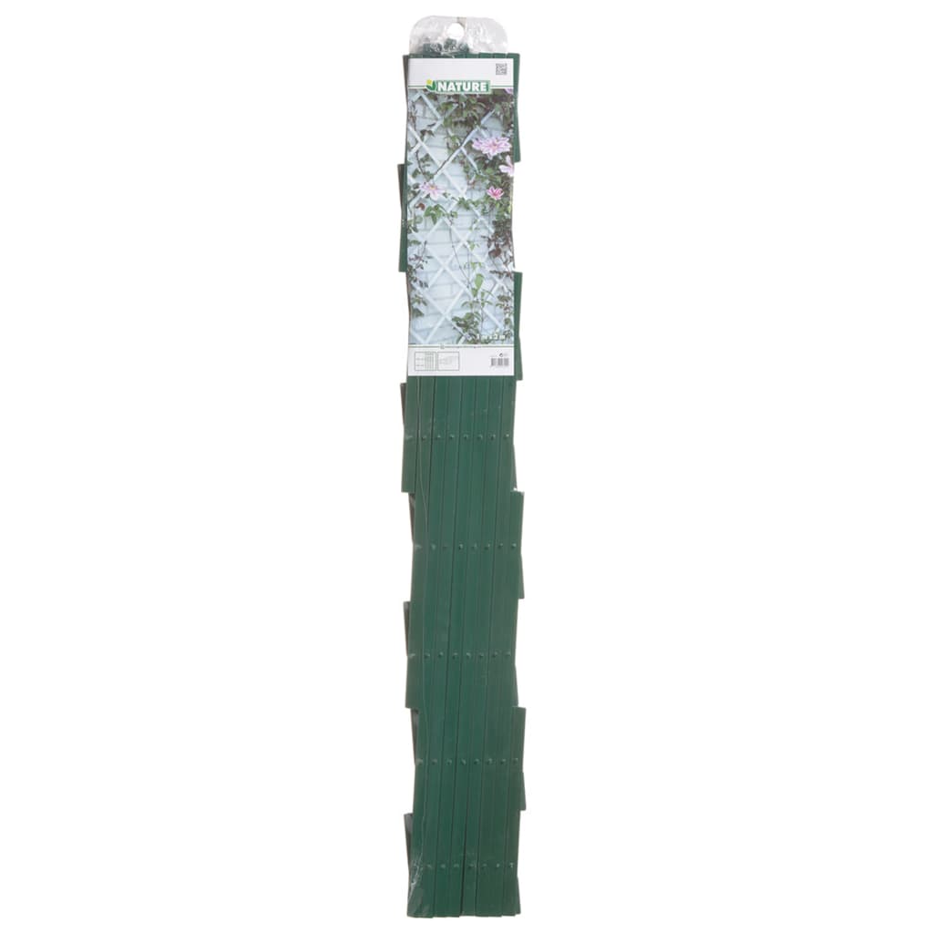 2 pcs Garden Trellises 100x200 cm PVC Green