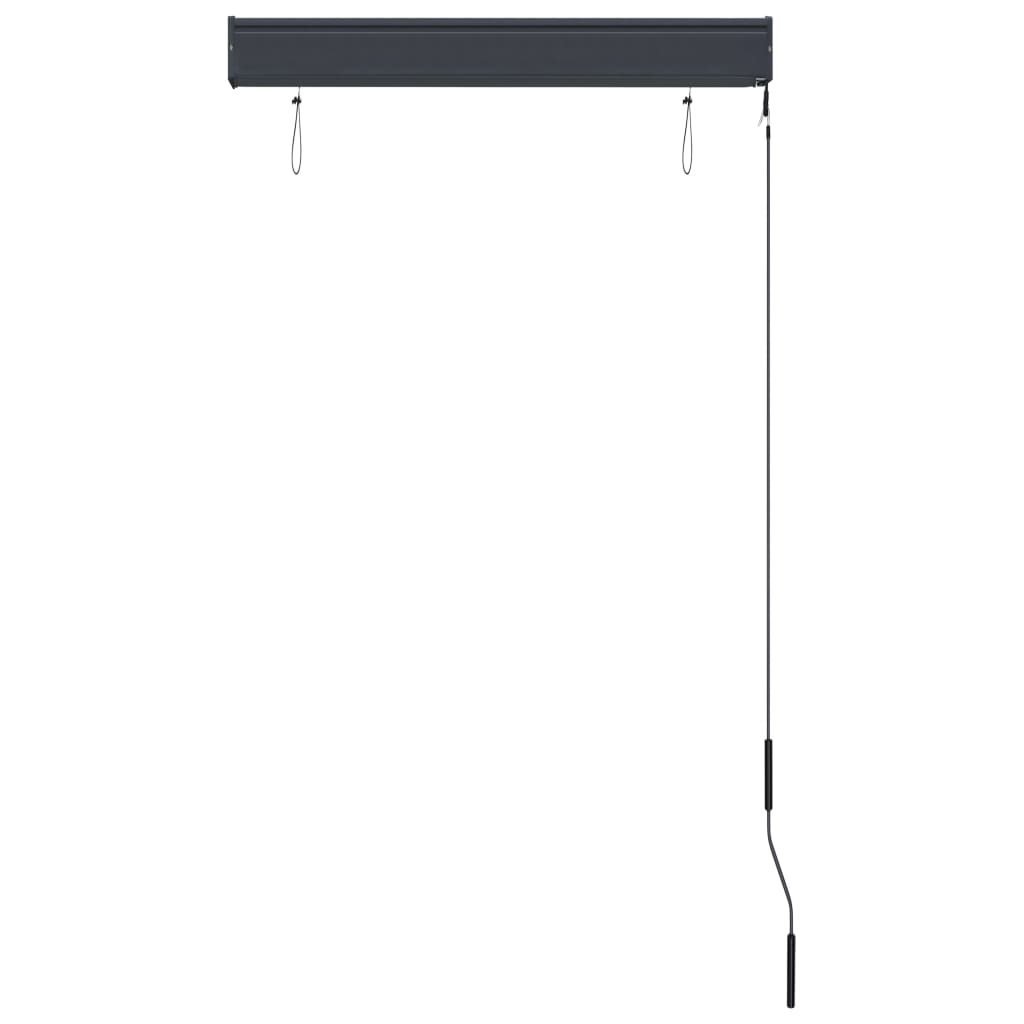 Outdoor Roller Blind 80x250 cm Blue and White