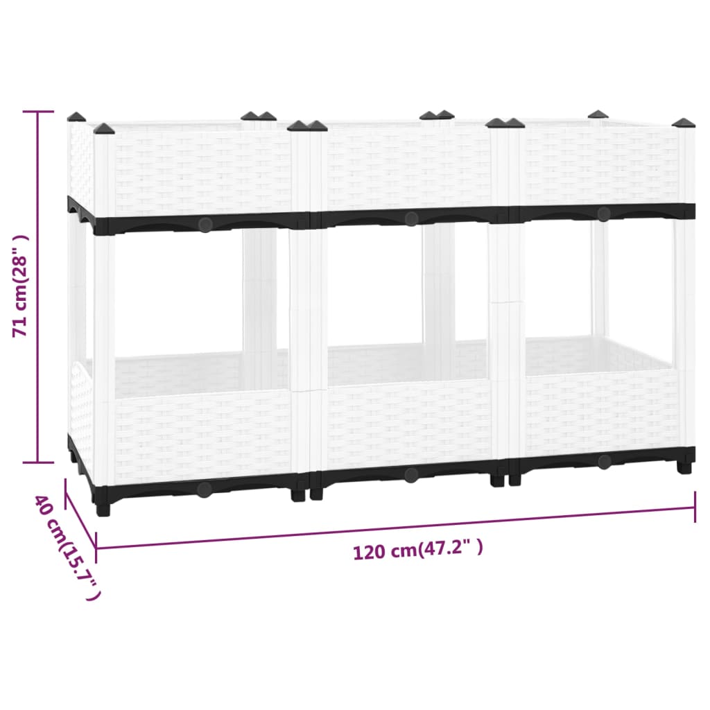 Raised Bed 120x40x71 cm Polypropylene