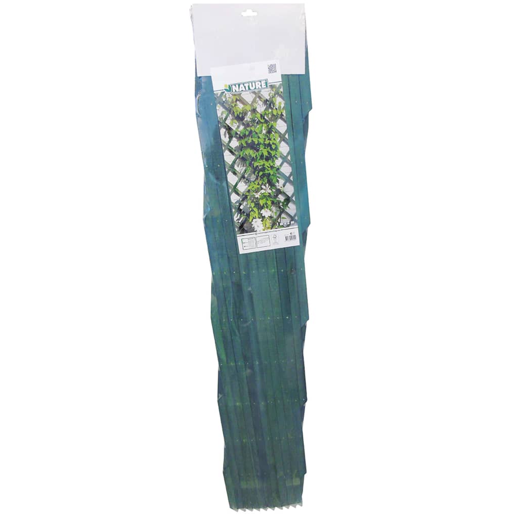 2 pcs Garden Trellises 100x200 cm Wood Green